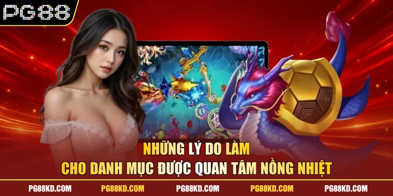 Những lý do làm cho danh mục được quan tâm nồng nhiệt